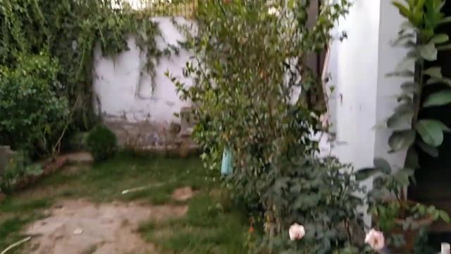 My Garden Weather || Amazing Weather Video || Weather Radar смотреть онлайн