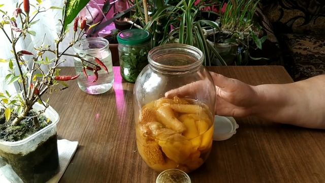 Фотоэпиляция: делаем шаг вперед к красивой коже