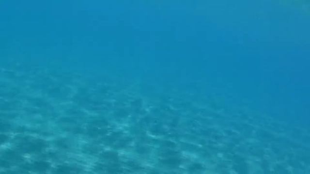 PERVOLIA, LARNACA, CYPRUS - FIREFLY 7S FHD 60FPS - смотреть онлайн