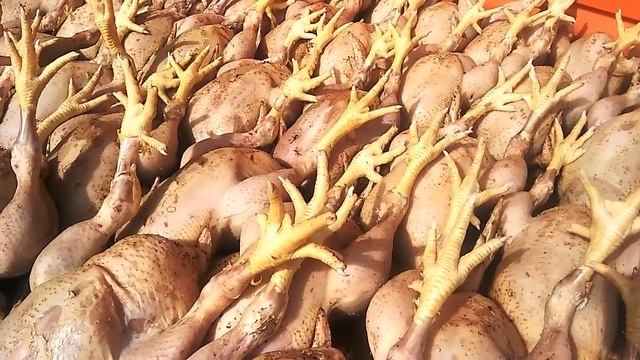 Бройлеры СУПЕР РЕЗУЛЬТАТ Выращивание за 45 дней от А до Я! смотреть онлайн