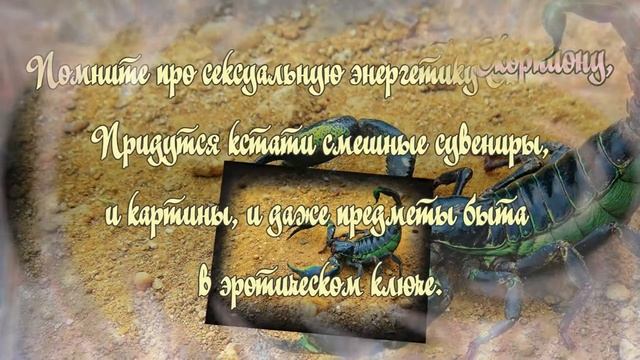 Что Подарить Мужчине? Подарки По Знаку Зодиака - Скорпион (23.10-21.11). Подарки, Идеи Подарков. смотреть онлайн