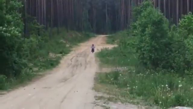 Мини мотоцикл смотреть онлайн