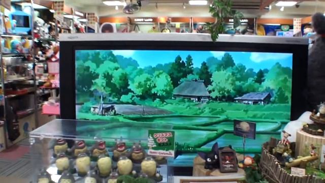 Токио. Япония. Магазины.