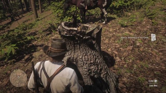 How to Get the Chocolate Roan Dutch Warmblood With Hosea in Chapter 2 смотреть онлайн