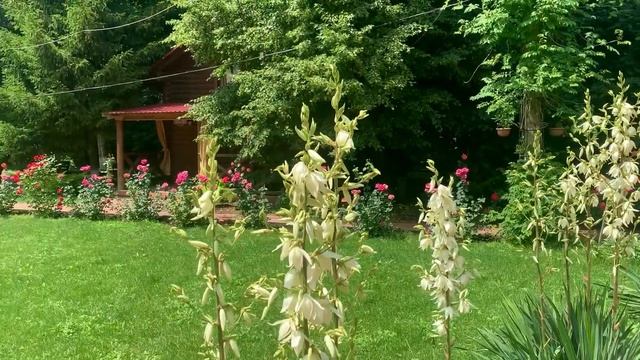 Загородная база отдыха «Астаховская Долина» смотреть онлайн