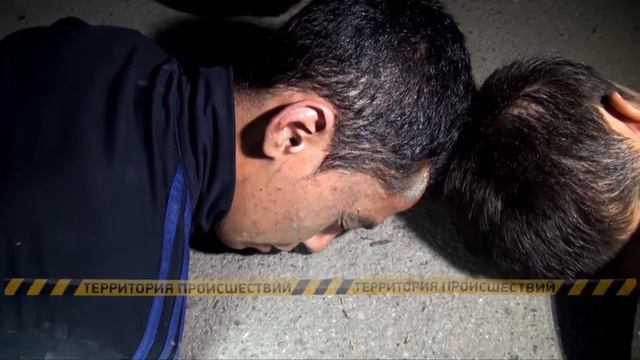 Банда домушников потоптала малину в огороде, скрываясь от полицейских смотреть онлайн