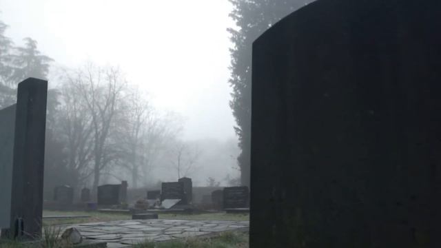 Зеркало | Домовой | Дама смотреть онлайн