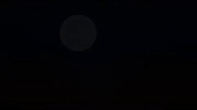 Shootout on Cash Island - Island 2 Bad Ending смотреть онлайн