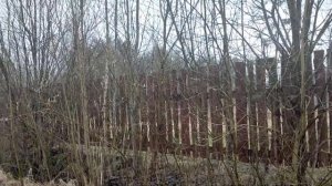Очистка канавы от кустов и деревьев в пос. Вырица - гатчинский район.