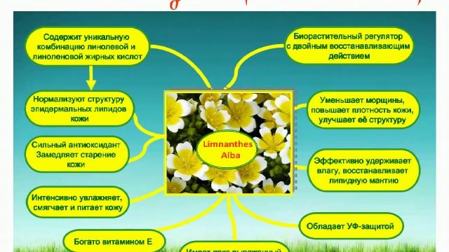 Крем и эмульсия "Гималайский бриллиант" смотреть онлайн