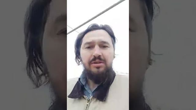 Публичная аферта смотреть онлайн