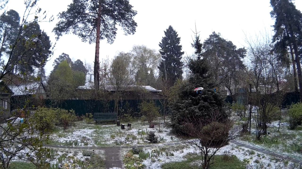 2017 0508 141333 002 1 смотреть онлайн