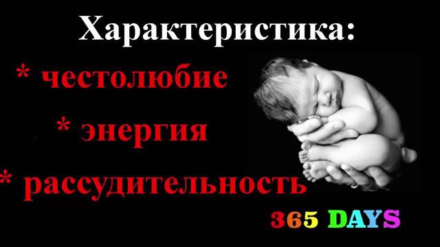 Прогноз о новорожденных 6 декабря 2015 года для молодых родителей смотреть онлайн