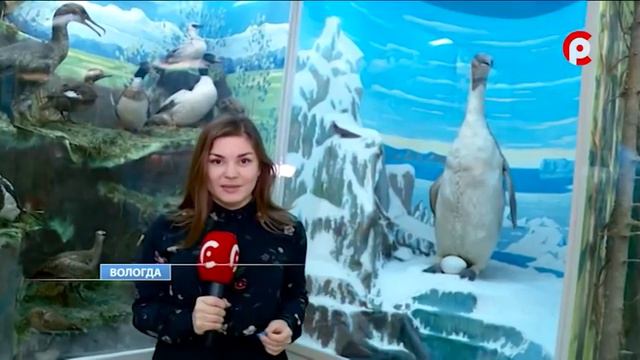 Время новостей 2018.01.17 смотреть онлайн