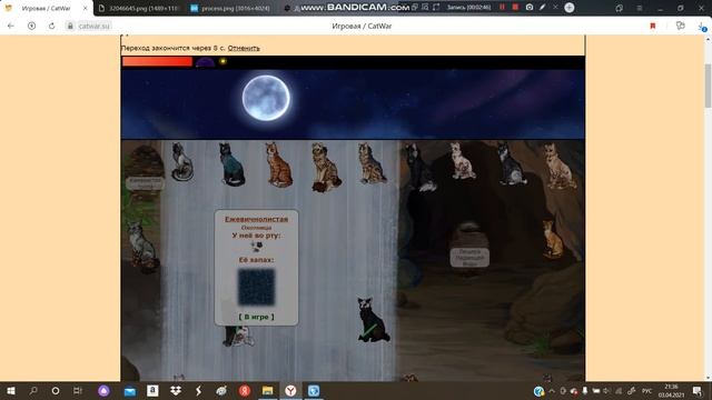 CatWar / О том, как я с котятами подружилась смотреть онлайн