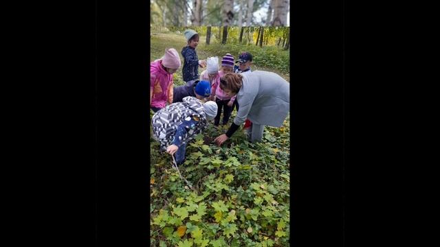 МАДОУ детский сад "Сказка " С. Прибельский. Экскурсия в Парк Победы имени А. Правдина смотреть онлайн