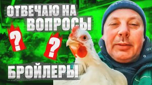 Все самое интересное о БРОЙЛЕРАХ. «Мое Подворье»