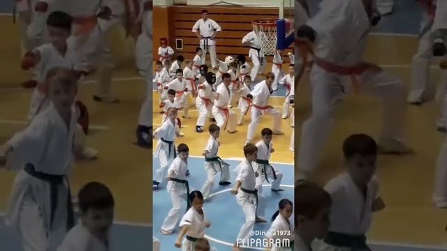 Аттестация на синий пояс.Каратэ. смотреть онлайн