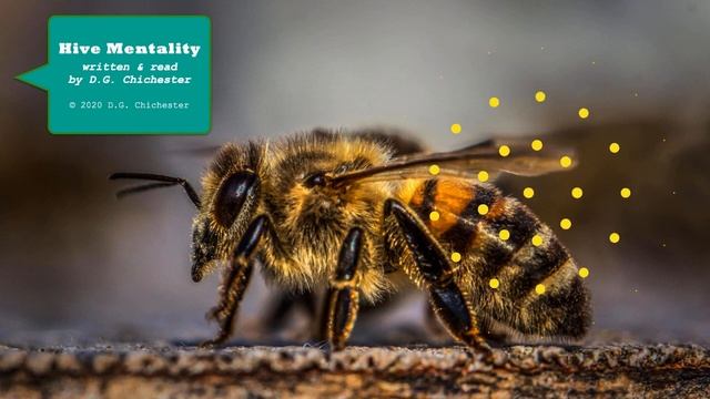 Hive Mentality смотреть онлайн