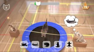 Приключение маленького котёнка/ котенок в школе/симулятор котенка/ виртуальный котенок учеба