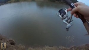 Ловля карпа на пруду в августе. Ловля карпа на горох. Снасть волосяная оснастка