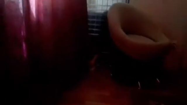 келля против шкатулочки смотреть онлайн