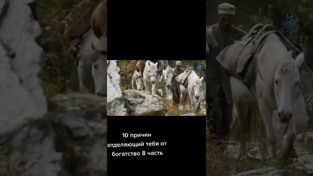 #реалия #сегодня #ислам #напоминание #религия смотреть онлайн