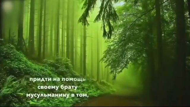 Хадис Пророка Мухаммада (ﷺ) смотреть онлайн