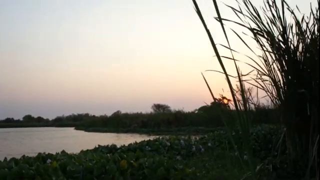 Мадагаскар Мурундава Цапля летит смотреть онлайн