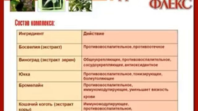 Джоинт флекс Арт лайф