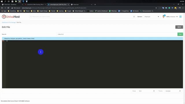 DirectAdmin Control panel File Manager and How to upload Website - 3 смотреть онлайн