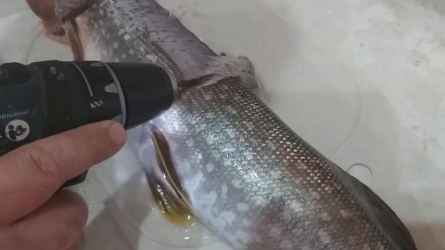чистка щуки шуруповертом смотреть онлайн