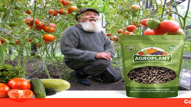 AGROPLANT Комплексное гранулированное биоудобрение смотреть онлайн