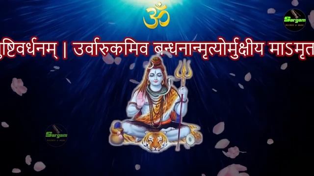 LIVE 2 : 108 महामृत्युंजय मंत्र Mahamrityunjaya Mantra 1 Mala Jap #shivmahamantra смотреть онлайн