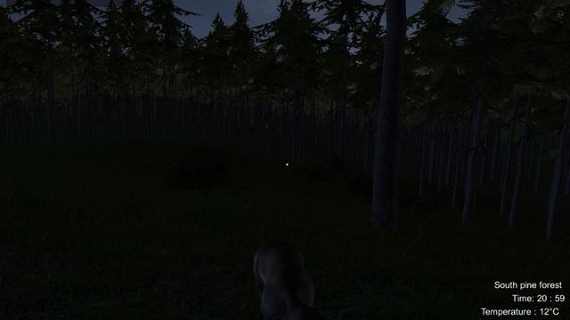 Wolf Simulator смотреть онлайн