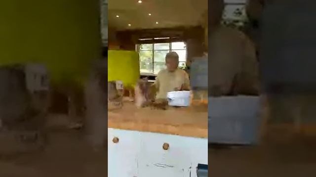 Revealing our Urbalive Worm Composter - Facebook Live Archive смотреть онлайн