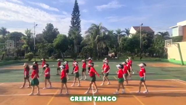 Green Tango Line Dance (demo & tutorial). Dance by MK 8 Group смотреть онлайн