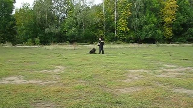 MVI_8654.AVI смотреть онлайн