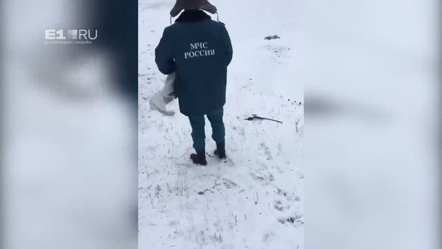 На Урале косят траву, когда уже выпал снег смотреть онлайн