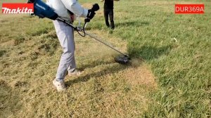 Makita DUR369A 18Vx2 (36V) LXT Brushless Bike Handle Grass Trimmer