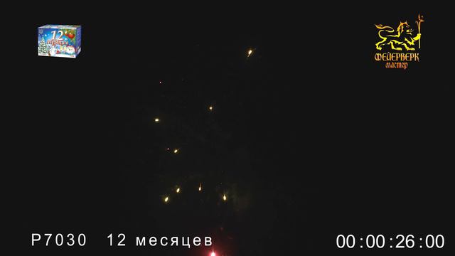 Р7030 12 Месяцев смотреть онлайн