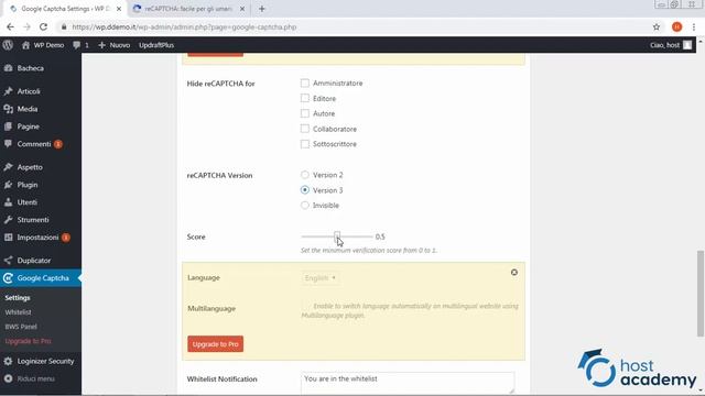 Il filtro captcha di Google Recaptcha in WordPress смотреть онлайн
