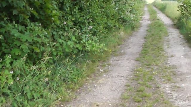 Panasonic HDC-SD80 Test