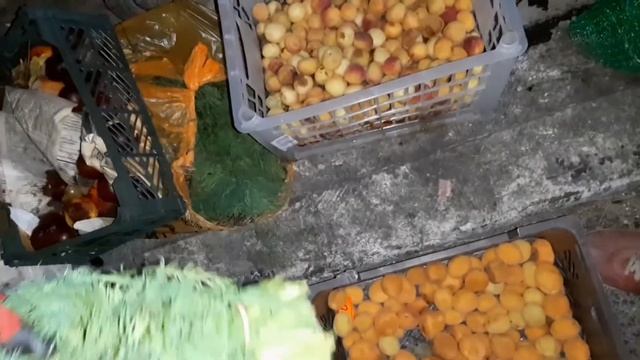 Нашли монокуляр Находки с помойки 24 чксть смотреть онлайн