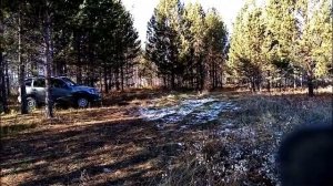 МР-94. Трехминутный коллиматор и кучность.