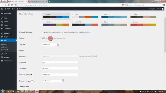 Easy Way How To Hide WordPress Toolbar in FrontEnd смотреть онлайн