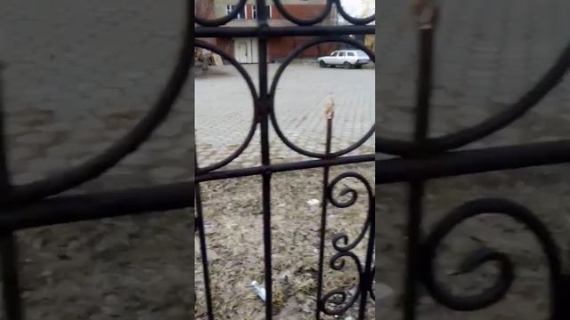 Старый Оскол смотреть онлайн