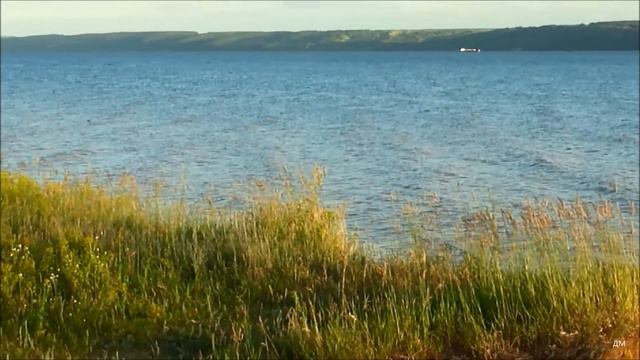 ОТ-2446 160+229 242+233, Борис Марисов Шлюзовой-240 Волго-Балтика Борис Сафонов на Б Яре 28 06 2020 смотреть онлайн