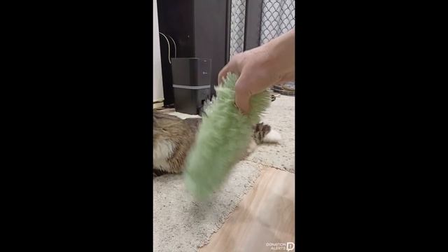 ночь смотреть онлайн
