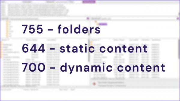 How to Fix 403 Forbidden Error